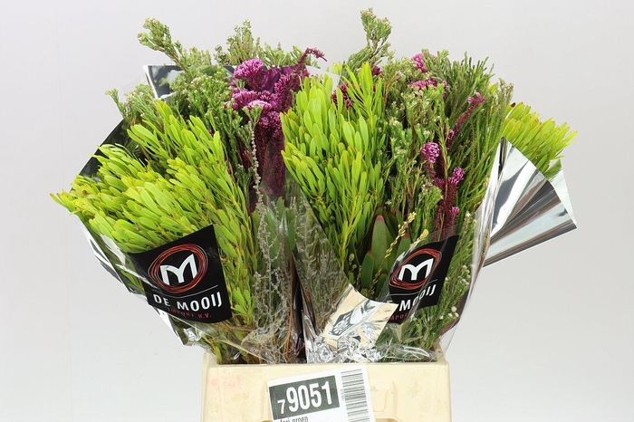 <h4>Safari Boeket</h4>