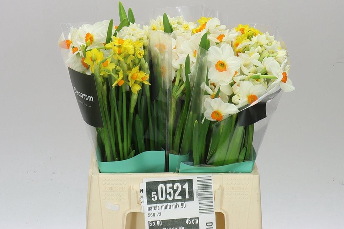 <h4>Narcissus Ta Mix</h4>