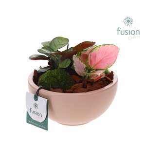 Schaal keramiek Moon Small blush pink met groene planten