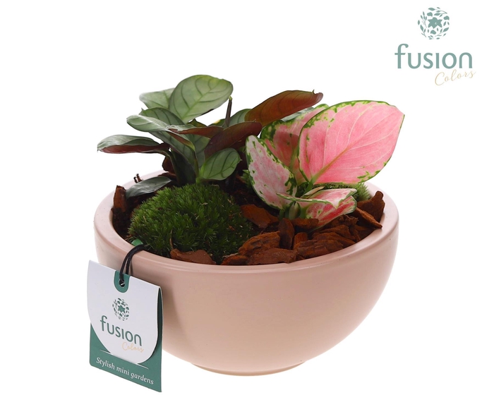 <h4>Schaal keramiek Moon Small blush pink met groene planten</h4>