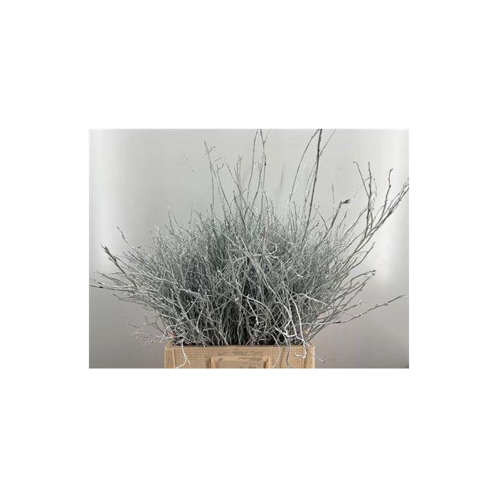 <h4>Heidelbeer Wit</h4>