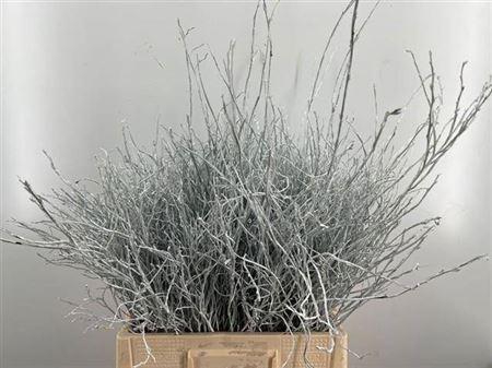 <h4>Heidelbeer Wit</h4>