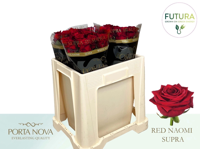 <h4>R GR RED NAOMI! SUPRA - Futura 50 - Futura</h4>