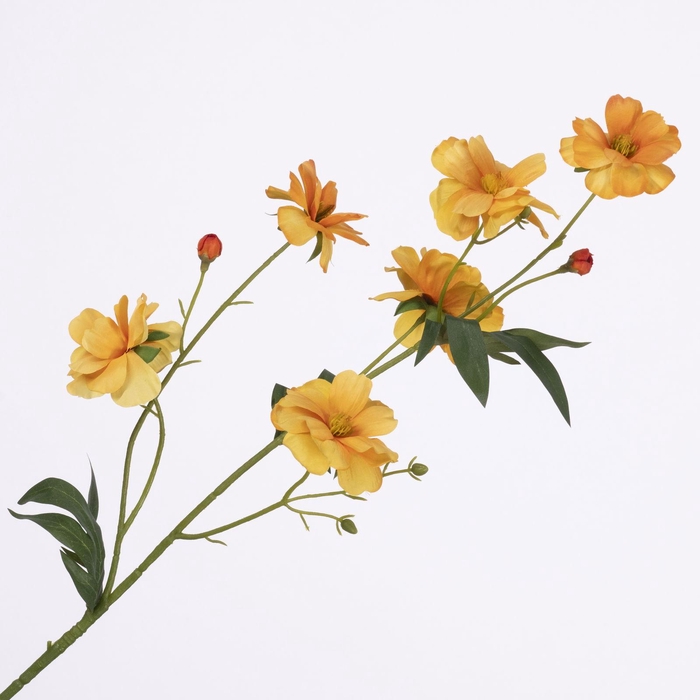 Ranunculus Butterfly Spray Ocre FL440264OCR