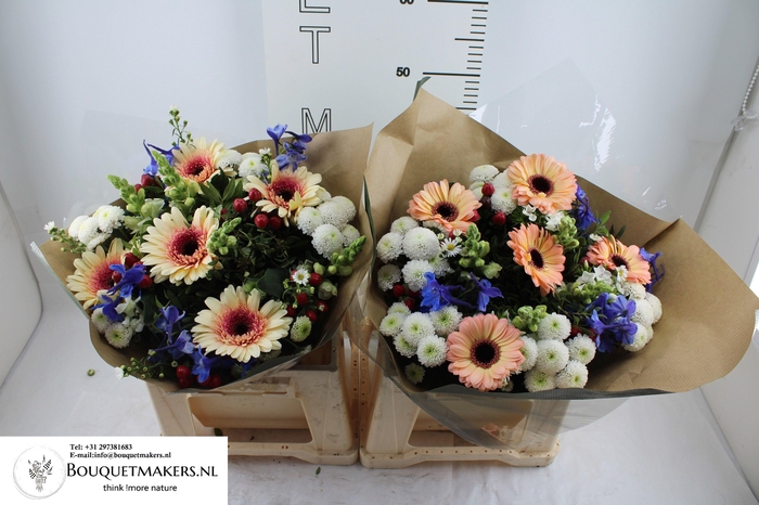 <h4>GEM BOEKET OV</h4>