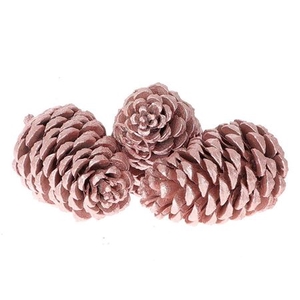 Pinecone Maritima 3 Pcs