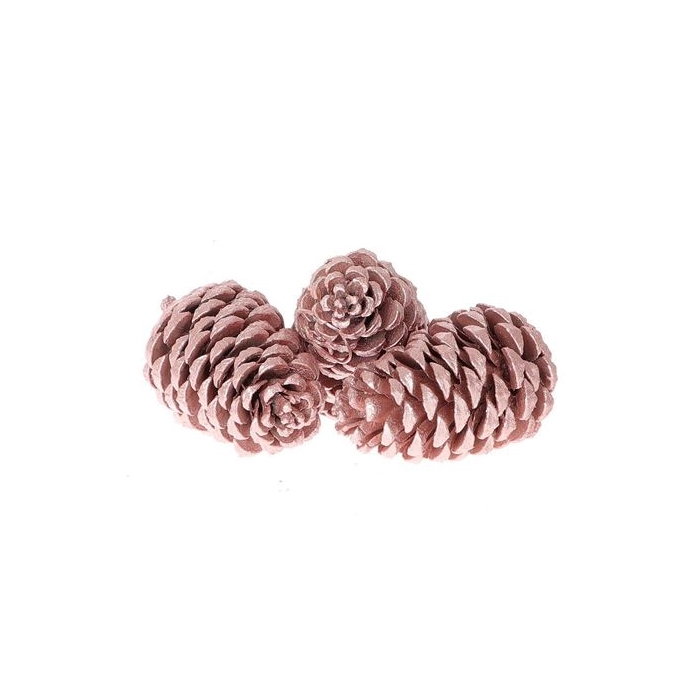 <h4>Pinecone Maritima 3 Pcs</h4>