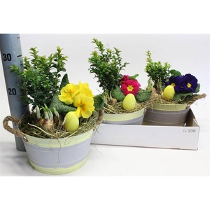 ARR TUINPLANTEN GREY/GREEN X3