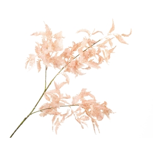 Fern Branch Pink Light
