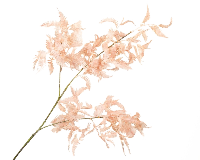 Fern Branch Pink Light