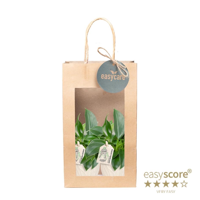 <h4>Paperbag Leaf S Ph. Green Prin</h4>