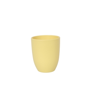 Nolan Yellow Ceramics BY5