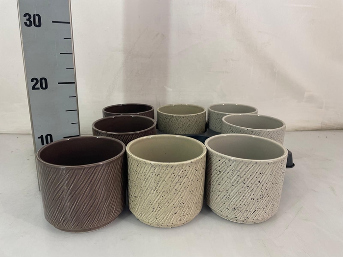 <h4>HUIS EN TUINDECO H%</h4>