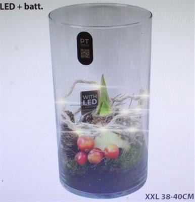 2905 XL AMAR HOOG GLAS+LED