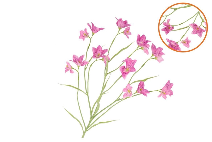 <h4>Silk Lucky Clover Dark Pink 99cm Nm</h4>