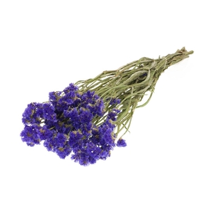 Statice Sinuata Natural Blue