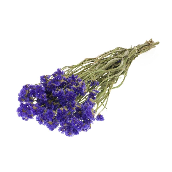 <h4>Statice Sinuata Natural Blue</h4>