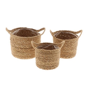 Basket Dash Grass H17D18 S3