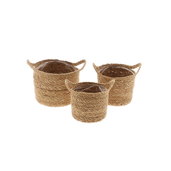 <h4>Basket Dash Grass H17D18 S3</h4>