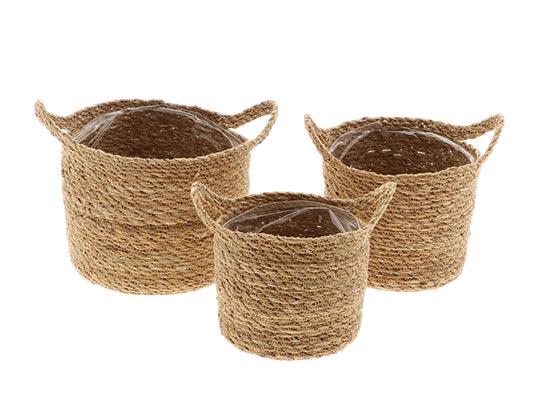 Basket Dash Grass H17D18 S3