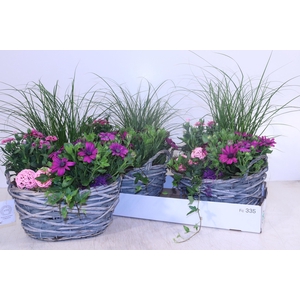 ARR TUINPLANTEN