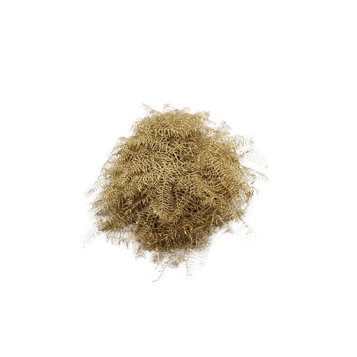 <h4>Koraalvaren Verf Goud</h4>