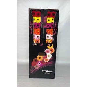 GE MI GEM Aquabox mix - diamond (8 x 15)