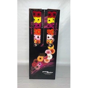 GE MI GEM Aquabox Mix 160