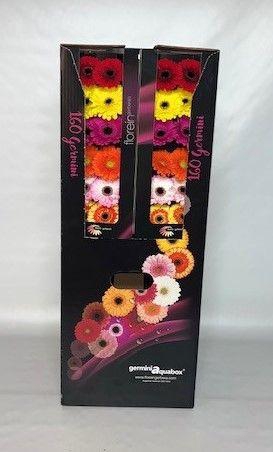 <h4>GE MI GEM Aquabox mix - diamond (8 x 15)</h4>