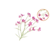 Silk Lucky Clover Dark Pink 99cm
