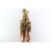 Dried Amaranthus Caud. Red Bunch