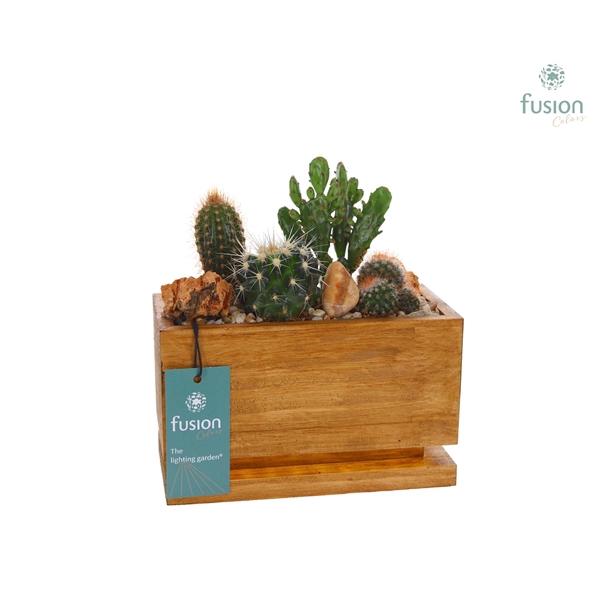 <h4>The Lighting Garden® LED Small met Cactussen</h4>