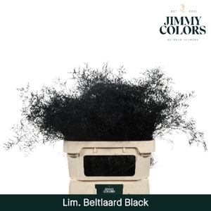 Lim Bel L90 Black