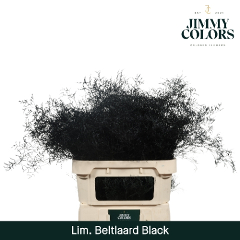 Lim Bel L90 Klbh. zwart