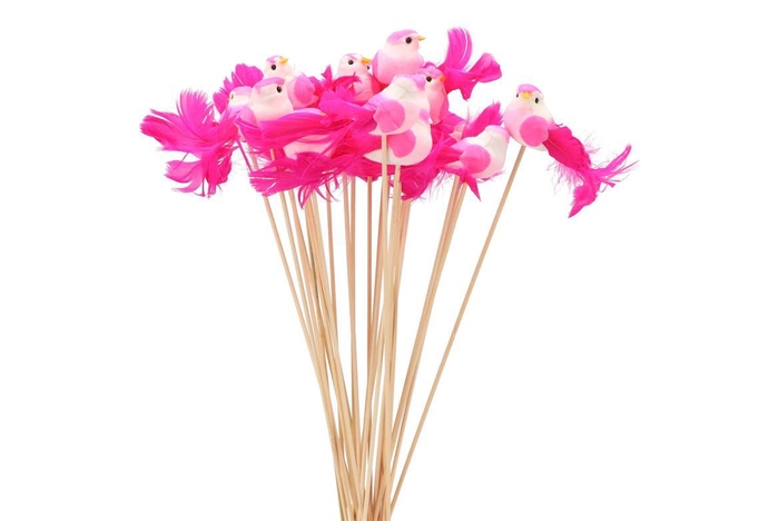 Pick Bird On Stick Fuchsia P/1 11x4x50cm