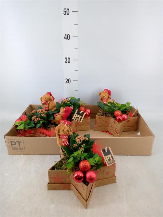 <h4>Arr. Kerst L%</h4>