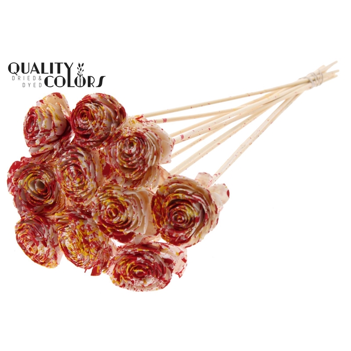 <h4>Shola Beauty Rose 6cm on stem Multicolour Red/Yellow</h4>