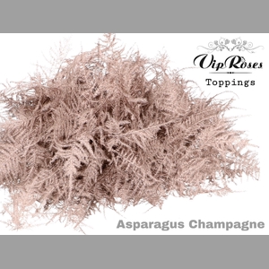 ASP OV EXTRA VEREN CHAMPAGNE