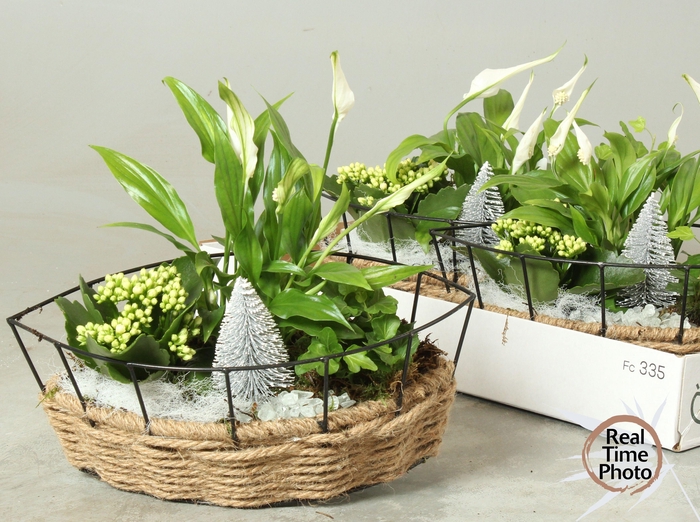 <h4>ARR KAMERPL</h4>