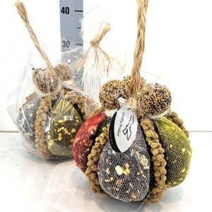 Luxe Voeder Bol XL in Kado Folie