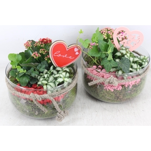 arr2 PL - Glas bose touw x3 - rood/roze