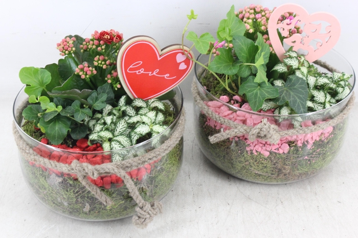 <h4>arr2 PL - Glas bose touw x3 - rood/roze</h4>