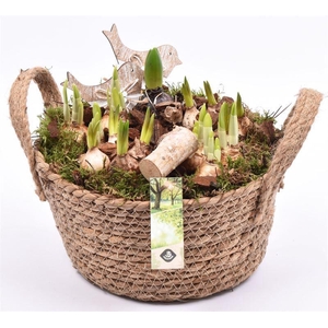 Touwmand schaal met oor 25cm