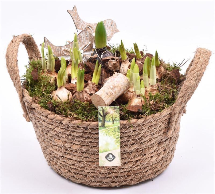 <h4>Touwmand schaal met oor 25cm</h4>