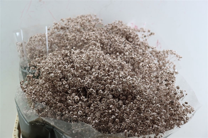 <h4>Gyps Grof. Mtlc Champagne</h4>