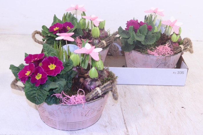 <h4>ARR PL IN SCHAAL</h4>