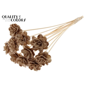 Beetal Rose 6cm on stem Wax Beige