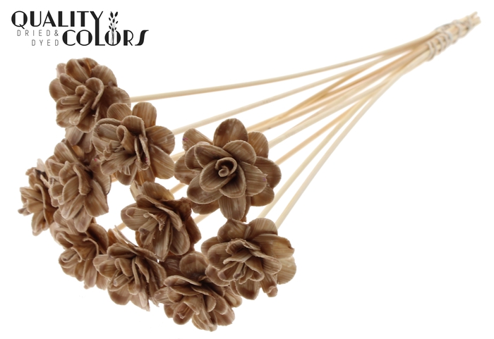 <h4>Beetal Rose 6cm on stem Wax Beige</h4>