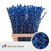 Salix Snowflake Blauw Donker