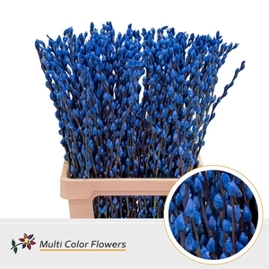 Salix Snowflake Blauw Donker